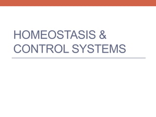 HOMEOSTASIS & 
CONTROL SYSTEMS 
 