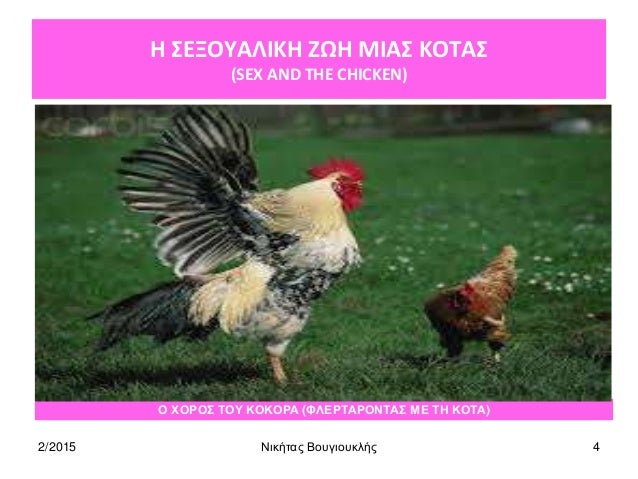 σεξ πουλί κόκοραςμαύρο μουνί πορνό μόνο