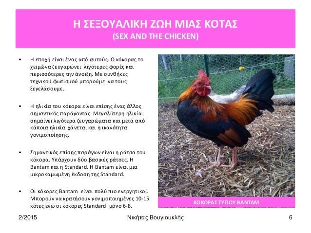 Κόκορας σεξ βίντεο