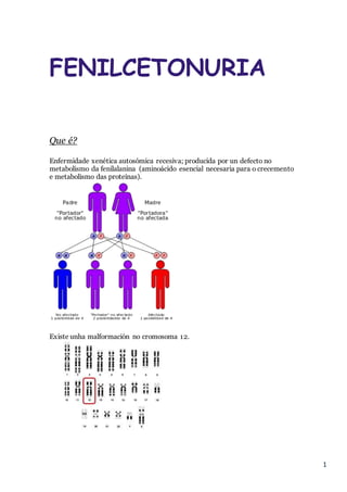 1
FENILCETONURIA
Que é?
Enfermidade xenética autosómica recesiva; producida por un defecto no
metabolismo da fenilalanina (aminoácido esencial necesaria para o crecemento
e metabolismo das proteínas).
Existe unha malformación no cromosoma 12.
 