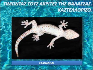 ΣΑΜΙΑΜΙΔΙ.
 