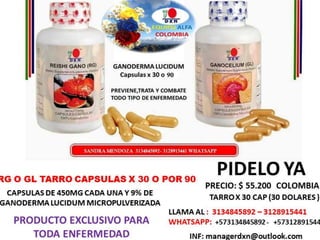 GANODERMA LUCIDUM
