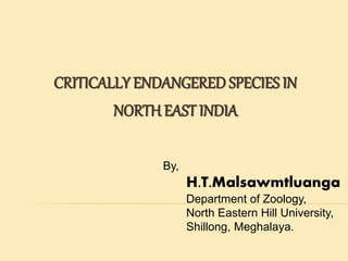 CRITICALLY ENDANGERED SPECIES IN
NORTH EAST INDIA
H.T.Malsawmtluanga
Department of Zoology,
North Eastern Hill University,
Shillong, Meghalaya.
By,
 