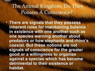 The Animal Kingdom, Do They
Possess A Conscience?
• There are signals that they possess
inherent roles for maintaining balance
in existence with one another such as
one species warning another about
predators or how elephants and rhino’s
coexist. But these notions are not
signals of conscience for the greater
good or a willingness to organize
against a species which has become
detrimental to their existence or
habitat.
 