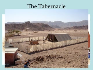 The Tabernacle
• Wilderness
• Solomon’s
• Zerubbel’s
• Herod’s
 