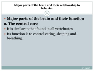 Major parts of the brain and their relationship to
behavior
 Major parts of the brain and their function
a. The central core
 It is similar to that found in all vertebrates
 Its function is to control eating, sleeping and
breathing.
2/11/2017
14
 