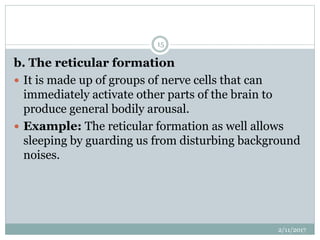 b. The reticular formation
 It is made up of groups of nerve cells that can
immediately activate other parts of the brain to
produce general bodily arousal.
 Example: The reticular formation as well allows
sleeping by guarding us from disturbing background
noises.
2/11/2017
15
 