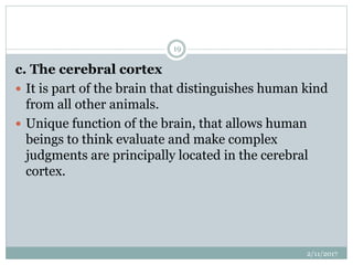 c. The cerebral cortex
 It is part of the brain that distinguishes human kind
from all other animals.
 Unique function of the brain, that allows human
beings to think evaluate and make complex
judgments are principally located in the cerebral
cortex.
2/11/2017
19
 