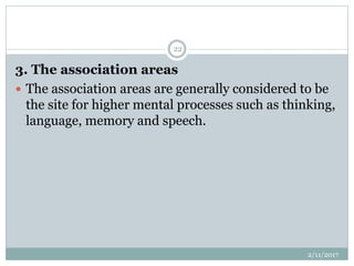 3. The association areas
 The association areas are generally considered to be
the site for higher mental processes such as thinking,
language, memory and speech.
2/11/2017
22
 