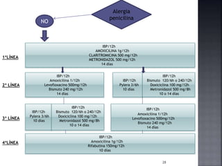 IBP/12h
AMOXICILINA 1g/12h
CLARITROMICINA 500 mg/12h
METRONIDAZOL 500 mg/12h
14 días
28
Alergia
penicilina
NO
IBP/12h
Amoxicilina 1/12h
Levofloxacino 500mg/12h
Bismuto 240 mg/12h
14 días
IBP/12h
Pylera 3/6h
10 días
IBP/12h
Pylera 3/6h
10 días
IBP/12h
Amoxicilina 1/12h
Levofloxacino 500mg/12h
Bismuto 240 mg/12h
14 días
IBP/12h
Amoxicilina 1g/12h
Rifabutina 150mg/12h
10 días
1ªLÍNEA
2ª LÍNEA
3ª LÍNEA
4ªLÍNEA
IBP/12h
Bismuto 120/6h o 240/12h
Doxiciclina 100 mg/12h
Metronidazol 500 mg/8h
10 o 14 días
IBP/12h
Bismuto 120/6h o 240/12h
Doxiciclina 100 mg/12h
Metronidazol 500 mg/8h
10 o 14 días
 