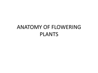 ANATOMY OF FLOWERING
PLANTS
 