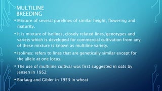 MULTILINE
BREEDING
• Mixture of several purelines of similar height, flowering and
maturity.
• It is mixture of isolines, closely related lines/genotypes and
variety which is developed for commercial cultivation from any
of these mixture is known as multiline variety.
• Isolines: refers to lines that are genetically similar except for
the allele at one locus.
• The use of multiline cultivar was first suggested in oats by
Jensen in 1952
• Borlaug and Gibler in 1953 in wheat
 