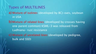 Types of MULTILINES
a) Mixture of isolines (developed by BC)-oats, soybean
in USA
b)Mixture of related lines (developed by crosses having
one parent common) KSML-3 was released from
Ludhiana- rust resistance
c) Mixture of unrelated lines (developed by pedigree,
bulk and SSD)
 