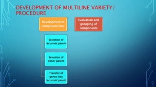 DEVELOPMENT OF MULTILINE VARIETY/
PROCEDURE
Development of
component line:
Selection of
recurrent parent
Selection of
donor parent
Transfer of
genes into
recurrent parent
Evaluation and
grouping of
components
 