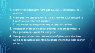 1. Transfer of cytoplasm: (CMS and CGMS) T. timophoovii to T.
aestivum
2. Transgressive segregation: 1. the F1 may be back crossed to
1 ot 2 time to recurrent parents
1. two or more recurrent parents may be used in BC method
3. Production of isogenic lines: isogenic lines are identical in
their genotypes, expect for one gene
4. Germplasm conversions: conversion of photosensitive lines
(using as recurrent parent) in to photo insensitive lines (donor
parents)
 