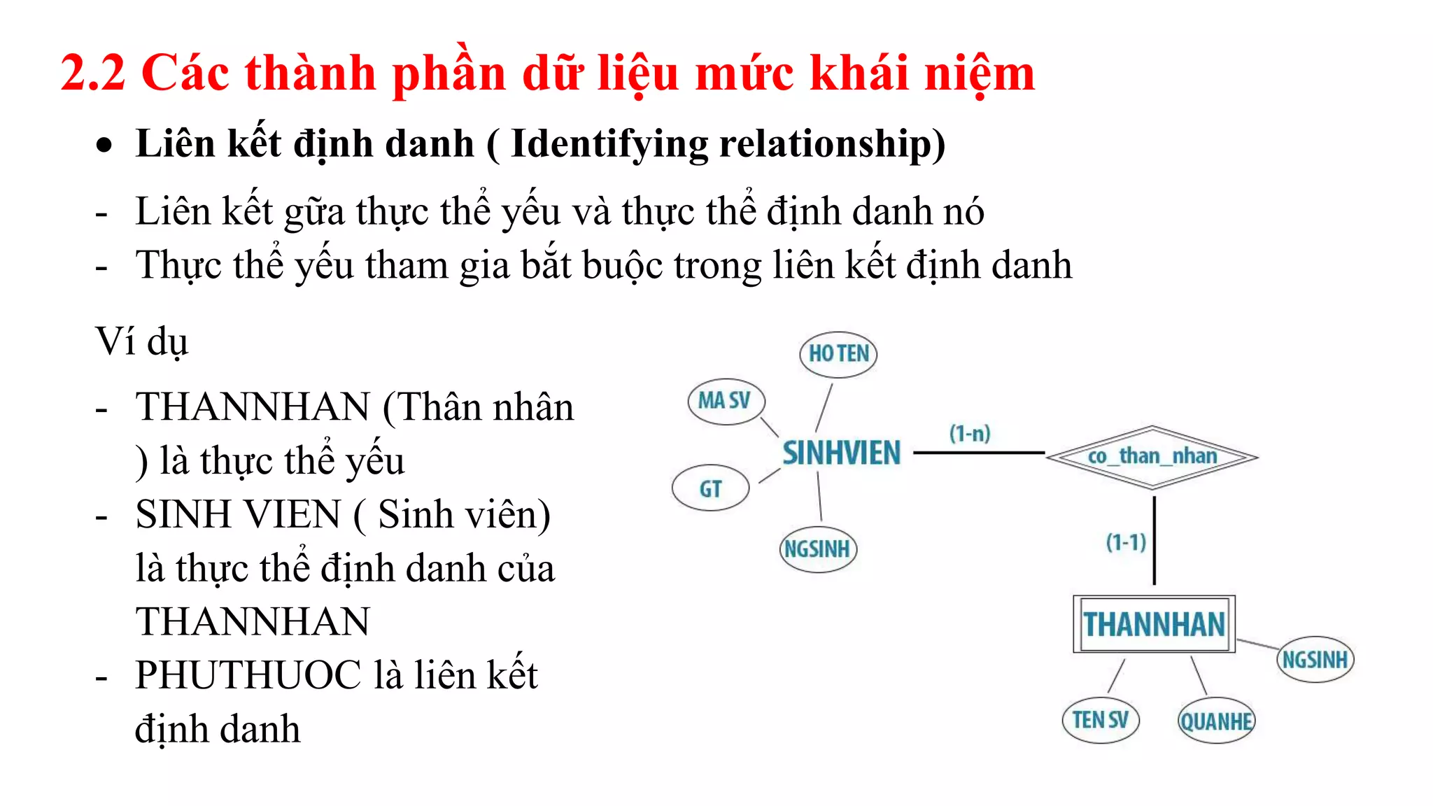 2.2 Các thành phần dữ liệu mức khái niệm
 Liên kết định danh ( Identifying relationship)
- Liên kết gữa thực thể yếu và thực thể định danh nó
- Thực thể yếu tham gia bắt buộc trong liên kết định danh
Ví dụ
- THANNHAN (Thân nhân
) là thực thể yếu
- SINH VIEN ( Sinh viên)
là thực thể định danh của
THANNHAN
- PHUTHUOC là liên kết
định danh
 