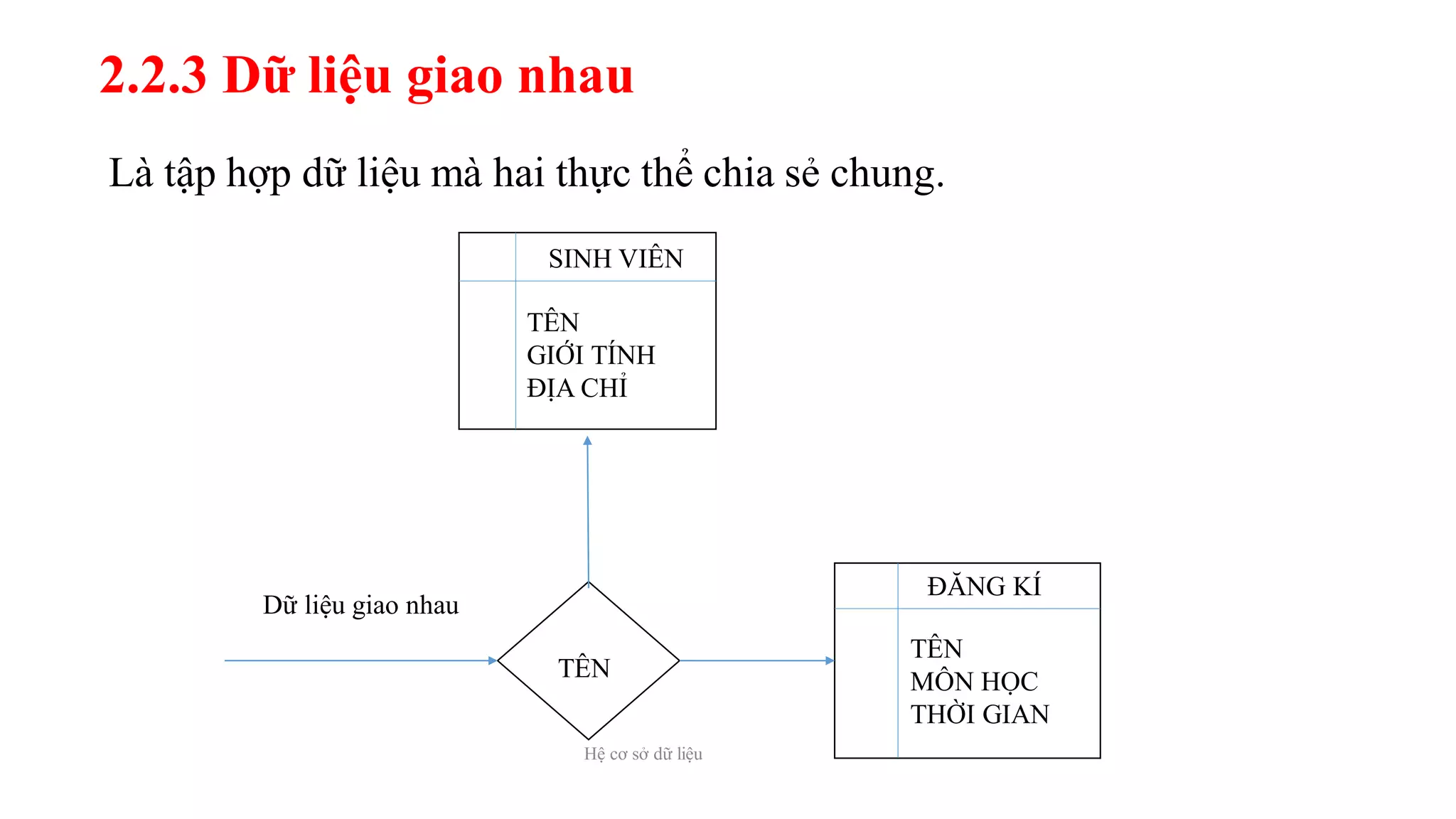 2.2.3 Dữ liệu giao nhau
Là tập hợp dữ liệu mà hai thực thể chia sẻ chung.
Hệ cơ sở dữ liệu
Dữ liệu giao nhau
SINH VIÊN
TÊN
GIỚI TÍNH
ĐỊA CHỈ
ĐĂNG KÍ
TÊN
MÔN HỌC
THỜI GIAN
TÊN
 