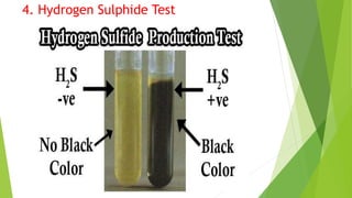 4. Hydrogen Sulphide Test
 