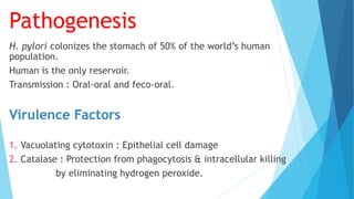 Pathogenesis
H. pylori colonizes the stomach of 50% of the world’s human
population.
Human is the only reservoir.
Transmission : Oral-oral and feco-oral.
Virulence Factors
1. Vacuolating cytotoxin : Epithelial cell damage
2. Catalase : Protection from phagocytosis & intracellular killing
by eliminating hydrogen peroxide.
 