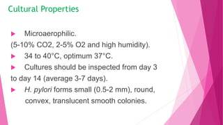 Cultural Properties
 Microaerophilic.
(5-10% CO2, 2-5% O2 and high humidity).
 34 to 40°C, optimum 37°C.
 Cultures should be inspected from day 3
to day 14 (average 3-7 days).
 H. pylori forms small (0.5-2 mm), round,
convex, translucent smooth colonies.
 