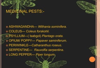 insect pest of medicinal plants and their control.pptx