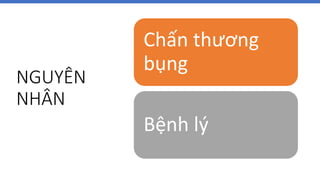 NGUYÊN
NHÂN
Chấn thương
bụng
Bệnh lý
 
