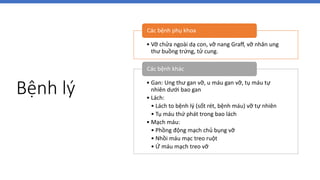 Bệnh lý
• Vỡ chửa ngoài dạ con, vỡ nang Graff, vỡ nhân ung
thư buồng trứng, tử cung.
Các bệnh phụ khoa
• Gan: Ung thư gan vỡ, u máu gan vỡ, tụ máu tự
nhiên dưới bao gan
• Lách:
• Lách to bệnh lý (sốt rét, bệnh máu) vỡ tự nhiên
• Tụ máu thứ phát trong bao lách
• Mạch máu:
• Phồng động mạch chủ bụng vỡ
• Nhồi máu mạc treo ruột
• Ứ máu mạch treo vỡ
Các bệnh khác
 