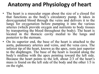 Anatomy and Physiology of heart
• The heart is a muscular organ about the size of a closed fist
that functions as the body’s circulatory pump. It takes in
deoxygenated blood through the veins and delivers it to the
lungs for oxygenation before pumping it into the various
arteries (which provide oxygen and nutrients to body tissues
by transporting the blood throughout the body). The heart is
located in the thoracic cavity medial to the lungs and
posterior to the sternum.
• On its superior end, the base of the heart is attached to the
aorta, pulmonary arteries and veins, and the vena cava. The
inferior tip of the heart, known as the apex, rests just superior
to the diaphragm. The base of the heart is located along the
body’s midline with the apex pointing toward the left side.
Because the heart points to the left, about 2/3 of the heart’s
mass is found on the left side of the body and the other 1/3 is
on the right.
 