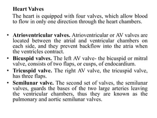Heart Valves
The heart is equipped with four valves, which allow blood
to flow in only one direction through the heart chambers.
• Atrioventricular valves. Atrioventricular or AV valves are
located between the atrial and ventricular chambers on
each side, and they prevent backflow into the atria when
the ventricles contract.
• Bicuspid valves. The left AV valve- the bicuspid or mitral
valve, consists of two flaps, or cusps, of endocardium.
• Tricuspid valve. The right AV valve, the tricuspid valve,
has three flaps.
• Semilunar valve. The second set of valves, the semilunar
valves, guards the bases of the two large arteries leaving
the ventricular chambers, thus they are known as the
pulmonary and aortic semilunar valves.
 