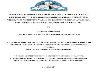 EFFECT OF NITROGEN FERTILIZER APPLICATION RATES AND
CUTTING HEIGHT ON MORPHOLOGICAL CHARACTERISTICS,
YIELD, AND NUTRITIVE VALUE OF ELEPHANT GRASS AT MERSA
COLLEGE OF AGRICULTURE, NORTHERN ETHIOPIA
BY
HUSSEN EBRAHIM
(Bsc. IN ANIMAL RANGELAND AND WILDLIFE SCIENCES)
A THESIS SUBMITTED TO THE DEPARTMENT OF ANIMAL PRODUCTION AND
TECHNOLOGY, COLLEGE OF AGRICULTURE, SCHOOL OF GRADUATE
STUDIES
WOLDIA UNIVERSITY, MERSA, ETHIOPIA
A THESIS SUBMITTED TO THE GRADUATE SCHOOL IN PARTIAL
FULFILLMENT FOR THE AWARD OF MASTER OF SCIENCE DEGREE OF
WOLDIA UNIVERSITY (SPECIALIZATION: ANIMAL NUTRITION)
JUNE, 2019
 