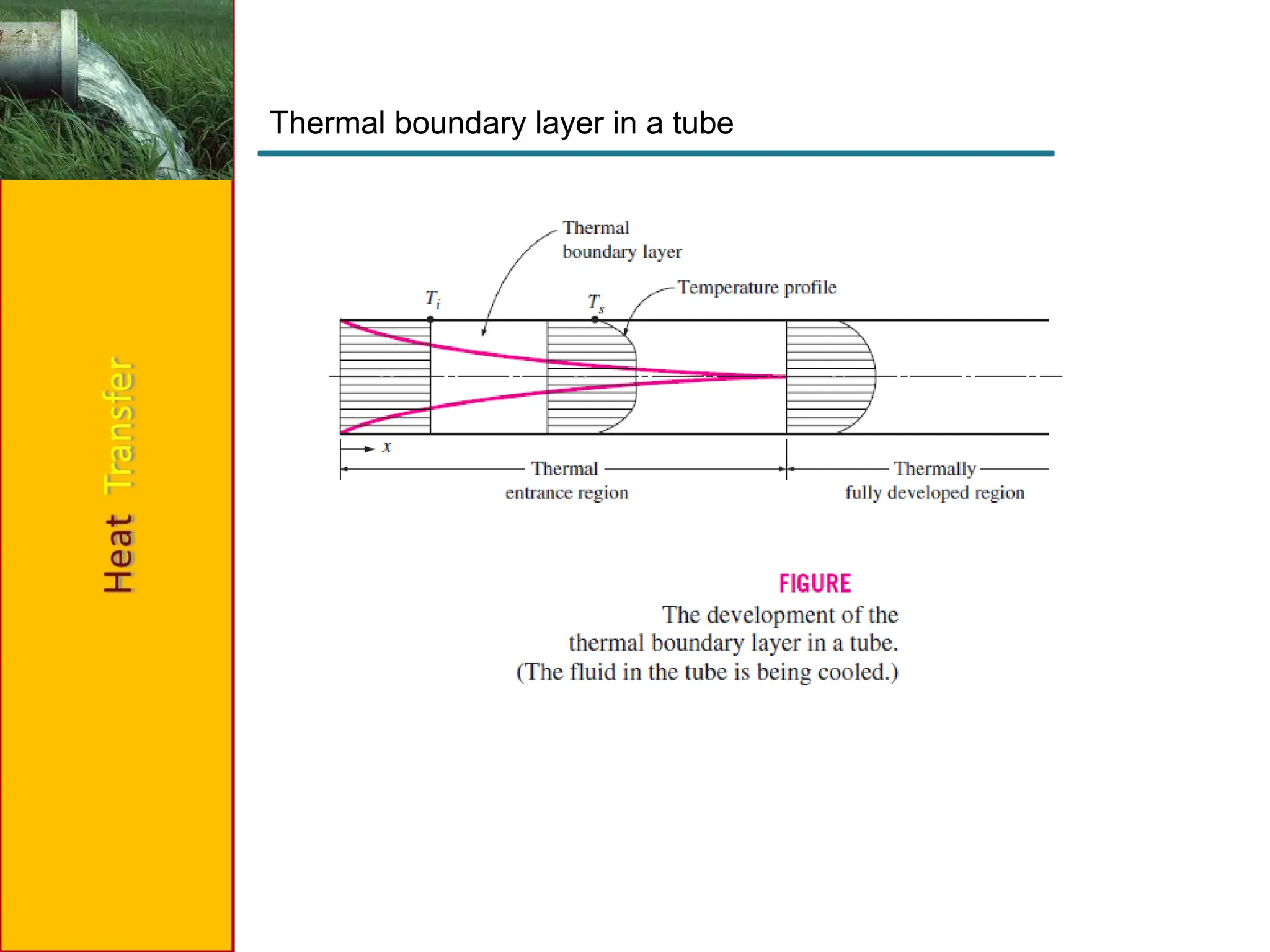 Thermal boundary layer in a tube
 