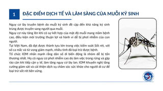 Ký sinh ở muỗi, phòng ngửa cho ký sinh muỗi | PDF