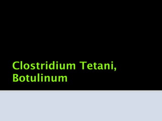Clostridium Tetani,
Botulinum
 