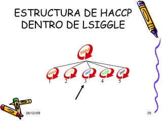ESTRUCTURA DE HACCP DENTRO DE LSIGGLE SIGGLE SIGCA SPH&S HACCP SIGA SIGFI 1 2 3 4 5 