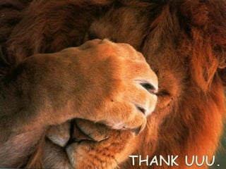 Hemolytic Anemia Investigation - By Mohan kumar