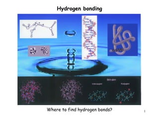 1
Where to find hydrogen bonds?
Hydrogen bonding
 