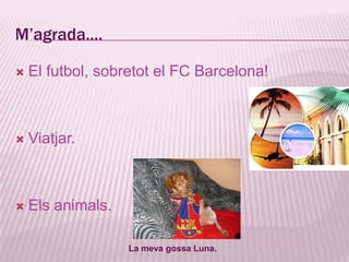 Estudis: Batxillerat humanístic, a l'escola Montclar d’Igualada. Aficions: Jugar a tennis, esquiar i viatjar. 