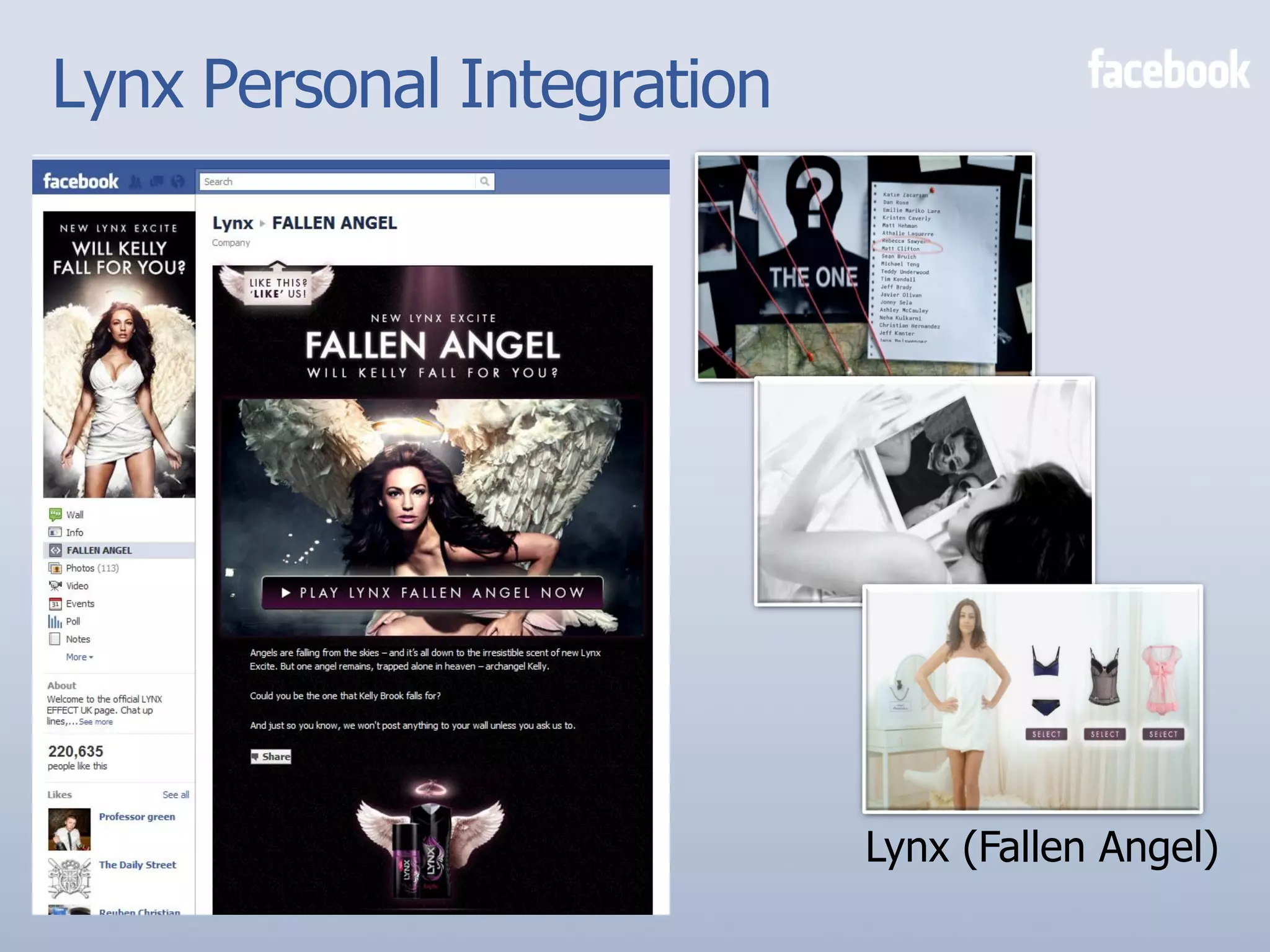 Lynx Personal Integration




                            Lynx (Fallen Angel)
 