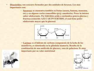 Disacáridos:  son azucares formados por dos unidades de hexosas. Los mas importantes son: Sacarosa:  se encuentra también en frutas (anana, banana, manzana, etc) y en algunas racies comestibles (p/ej: zanahoria). Posee in intenso sabor edulcorante. Por hidrólisis acida o enzimatica genera glucosa y fructosa (conocido AZUCAR INVERTIDO, el cual tiene poder edulcorante mayor que la glucosa) Lactosa:  es el hidrato de carbono componente de la leche de los mamíferos, es sintetizada en la glándula mamaria. Resulta de la combinación de una molécula de glucosa y una de galactosa. Es muy importante por su valor nutricional 
