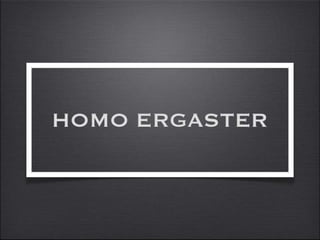 H  Ergaster
