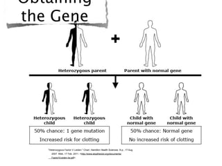 Obtaining
the Gene




   "Heterozygous Factor V Leiden." Chart. Hamilton Health Sciences. N.p., 17 Aug.
      2007. Web. 17 Feb. 2011. <http://www.stoptheclot.org/documents/
      FactorVLeiden-lw.pdf>.
 
