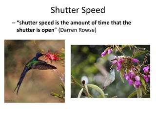 Shutter Speed“shutter speed is the amount of time that the shutter is open” (Darren Rowse)