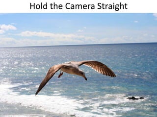 Hold the Camera Straight