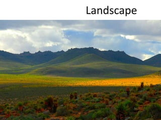 Landscape
