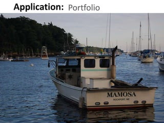 Application:Portfolio