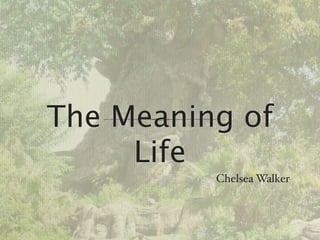 The Meaning of
     Life
          Chelsea Walker
 