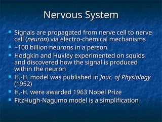 The Hodgkin-Huxley Model for Neuron Action Potentials | PPT