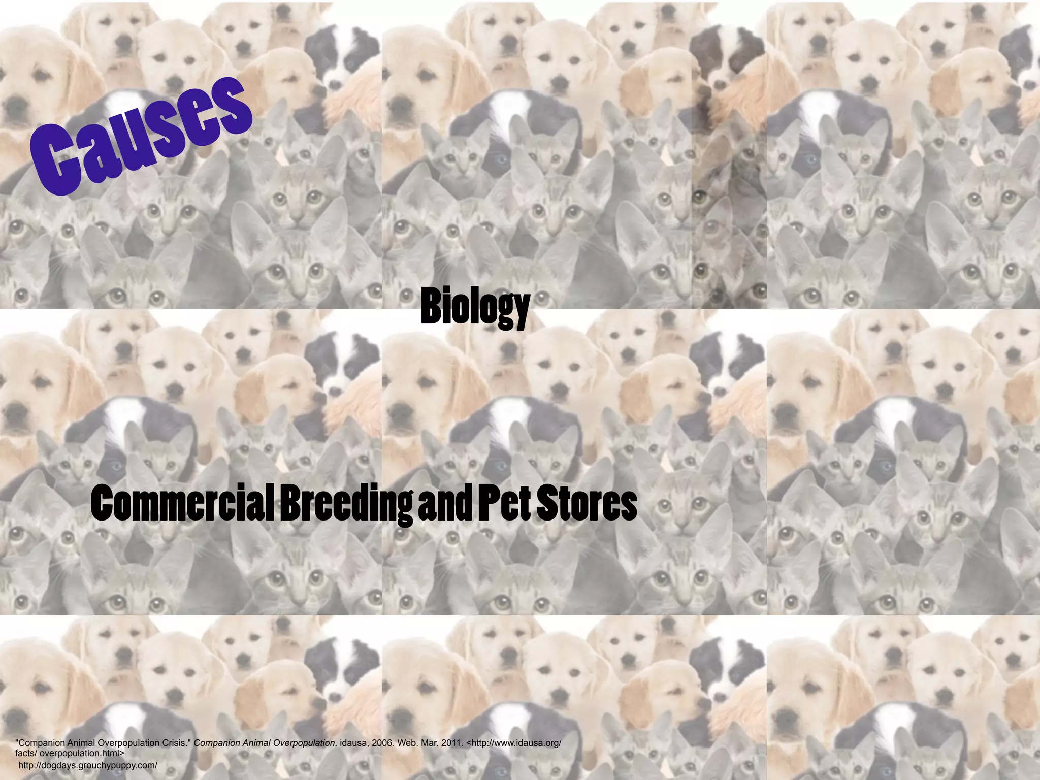 a us es
       C
                                                                                              Biology



                 Commercial Breeding and Pet Stores



"Companion Animal Overpopulation Crisis." Companion Animal Overpopulation. idausa, 2006. Web. Mar. 2011. <http://www.idausa.org/
facts/ overpopulation.html>
 http://dogdays.grouchypuppy.com/
 