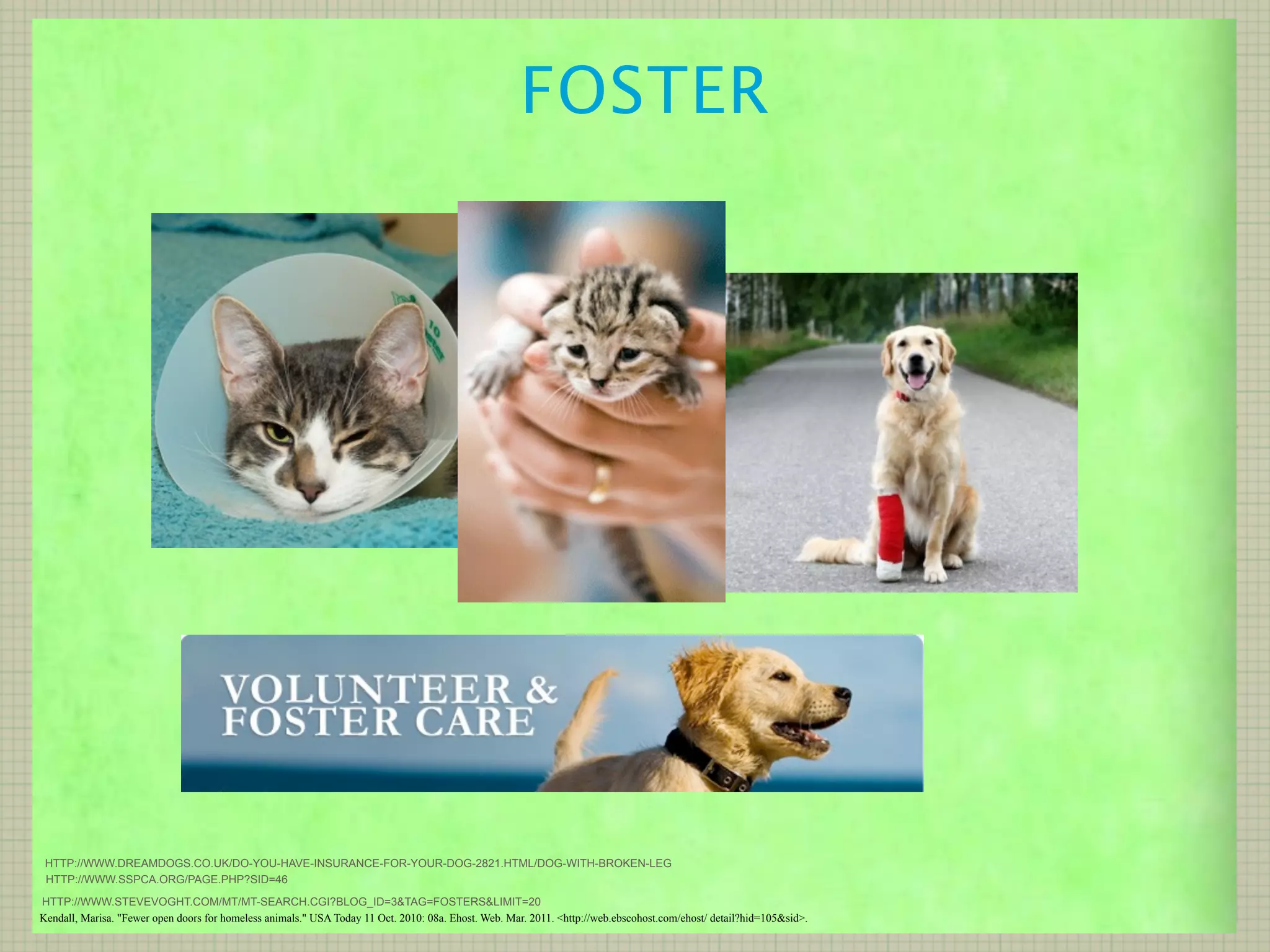 FOSTER




 HTTP://WWW.DREAMDOGS.CO.UK/DO-YOU-HAVE-INSURANCE-FOR-YOUR-DOG-2821.HTML/DOG-WITH-BROKEN-LEG
 HTTP://WWW.SSPCA.ORG/PAGE.PHP?SID=46

HTTP://WWW.STEVEVOGHT.COM/MT/MT-SEARCH.CGI?BLOG_ID=3&TAG=FOSTERS&LIMIT=20
Kendall, Marisa. "Fewer open doors for homeless animals." USA Today 11 Oct. 2010: 08a. Ehost. Web. Mar. 2011. <http://web.ebscohost.com/ehost/ detail?hid=105&sid>.
 