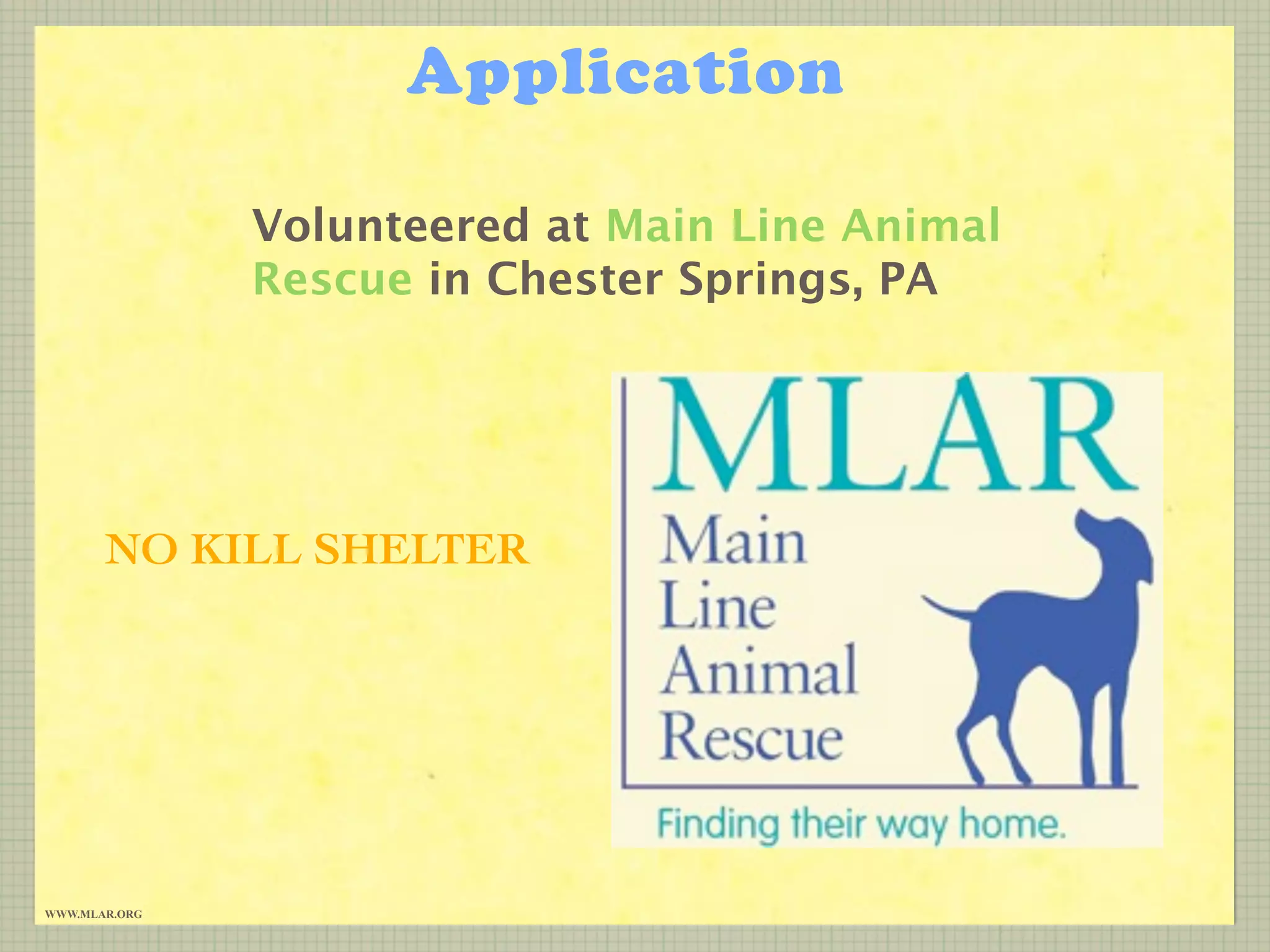 Application

               Volunteered at Main Line Animal
               Rescue in Chester Springs, PA




       NO KILL SHELTER




WWW.MLAR.ORG
 